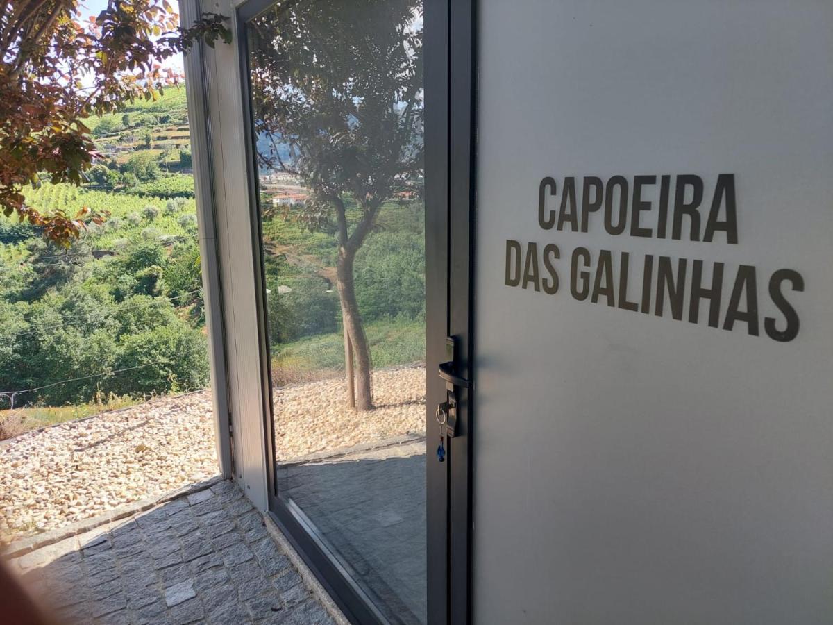 فيلا Quinta Sao Jose - Museu Do Triciclo Mesão Frio المظهر الخارجي الصورة