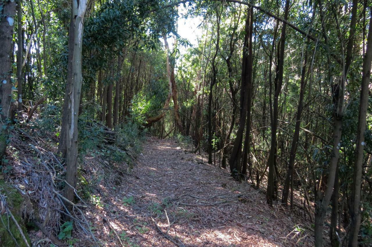 فيلا Quinta Sao Jose - Museu Do Triciclo Mesão Frio المظهر الخارجي الصورة